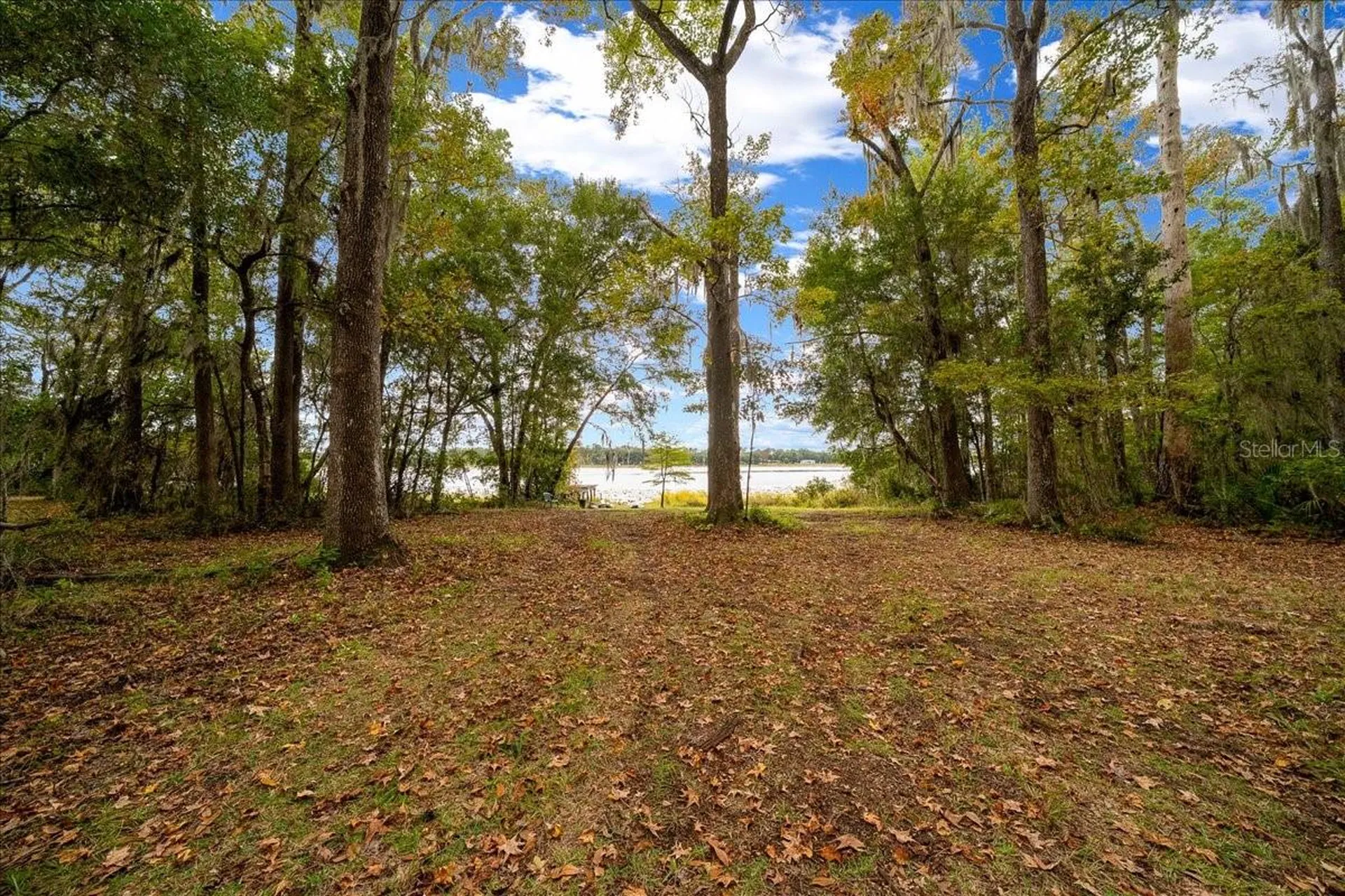 7173 W R Thomas Road Keystone Heights FL 32656
