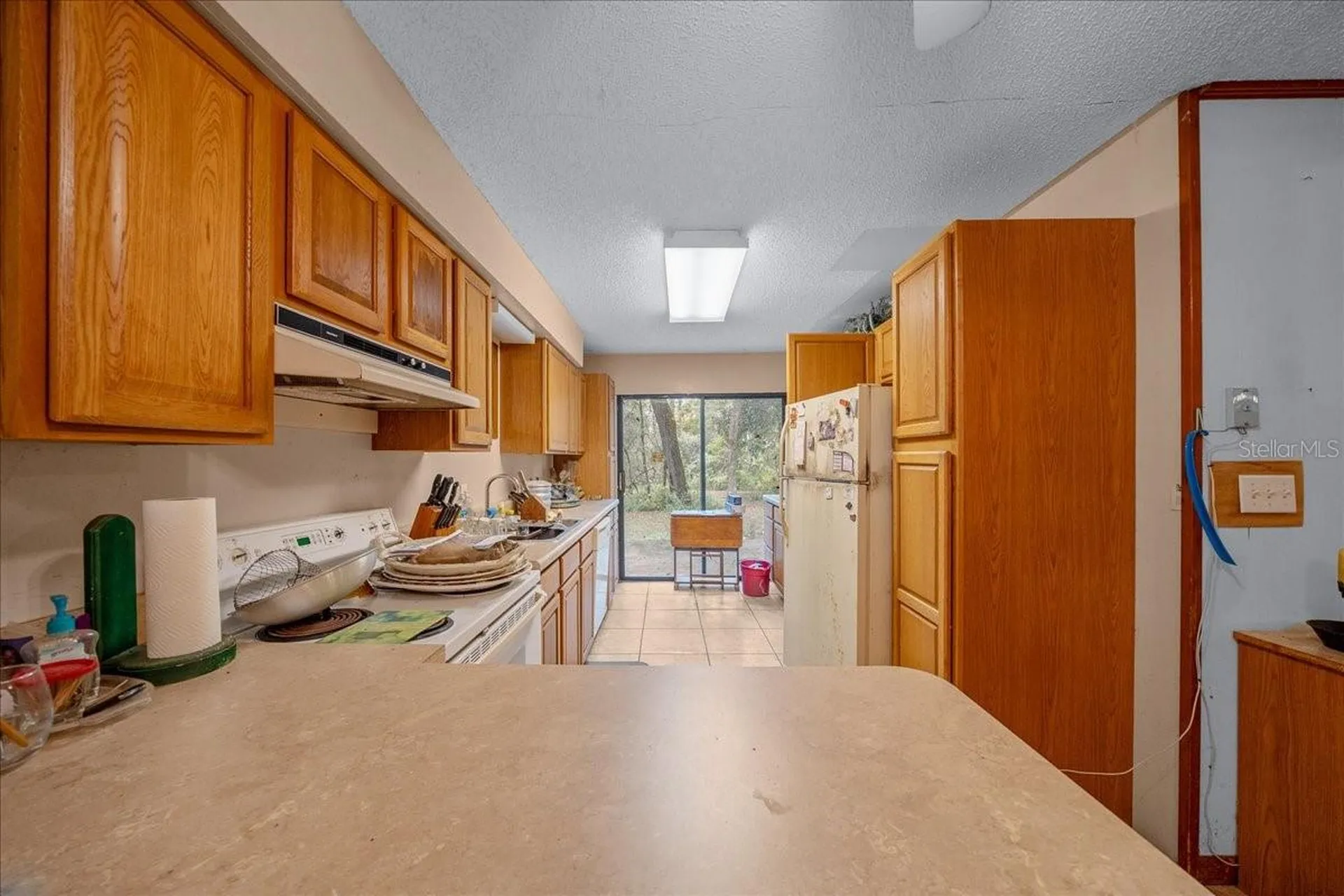 7173 W R Thomas Road Keystone Heights FL 32656