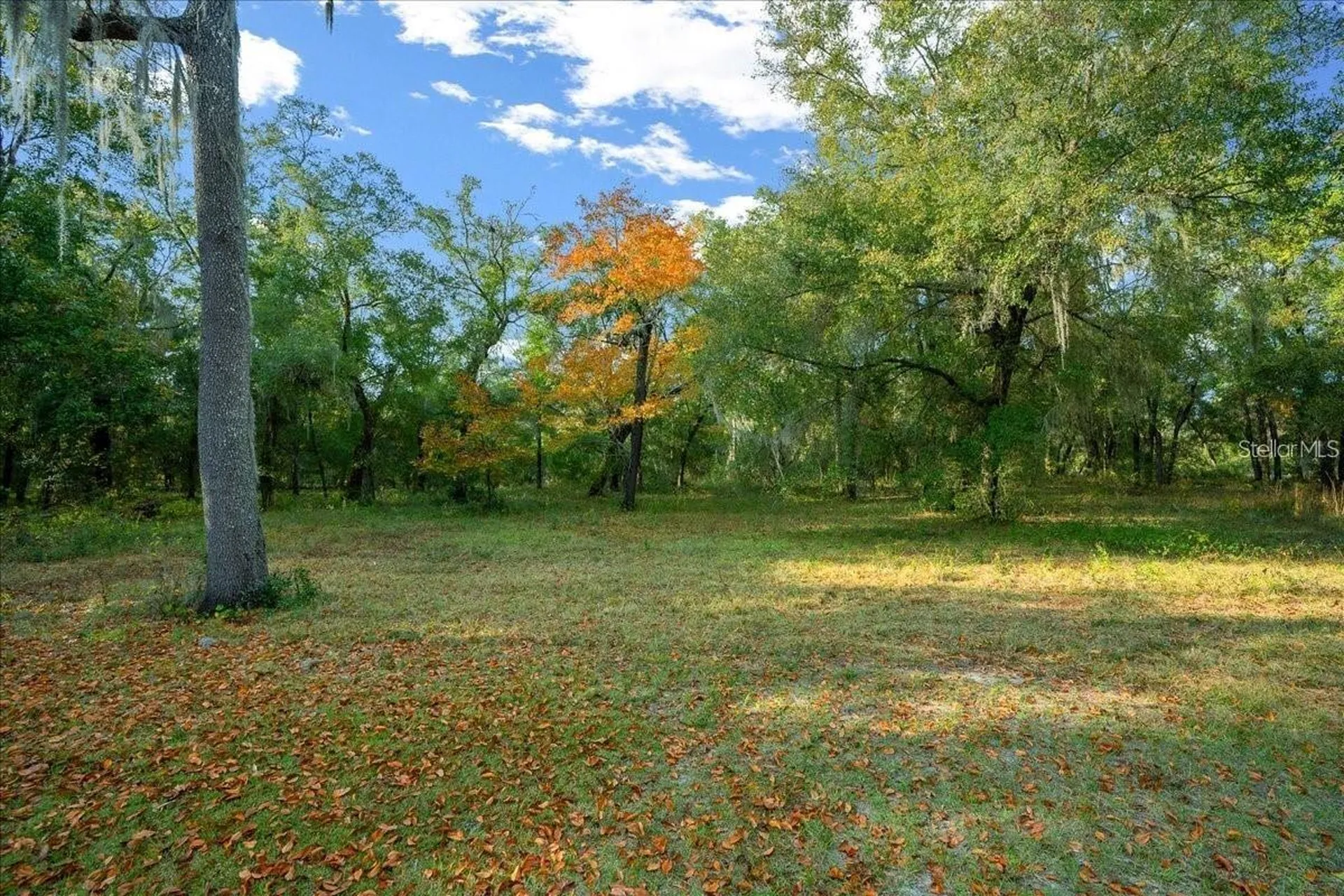 7173 W R Thomas Road Keystone Heights FL 32656