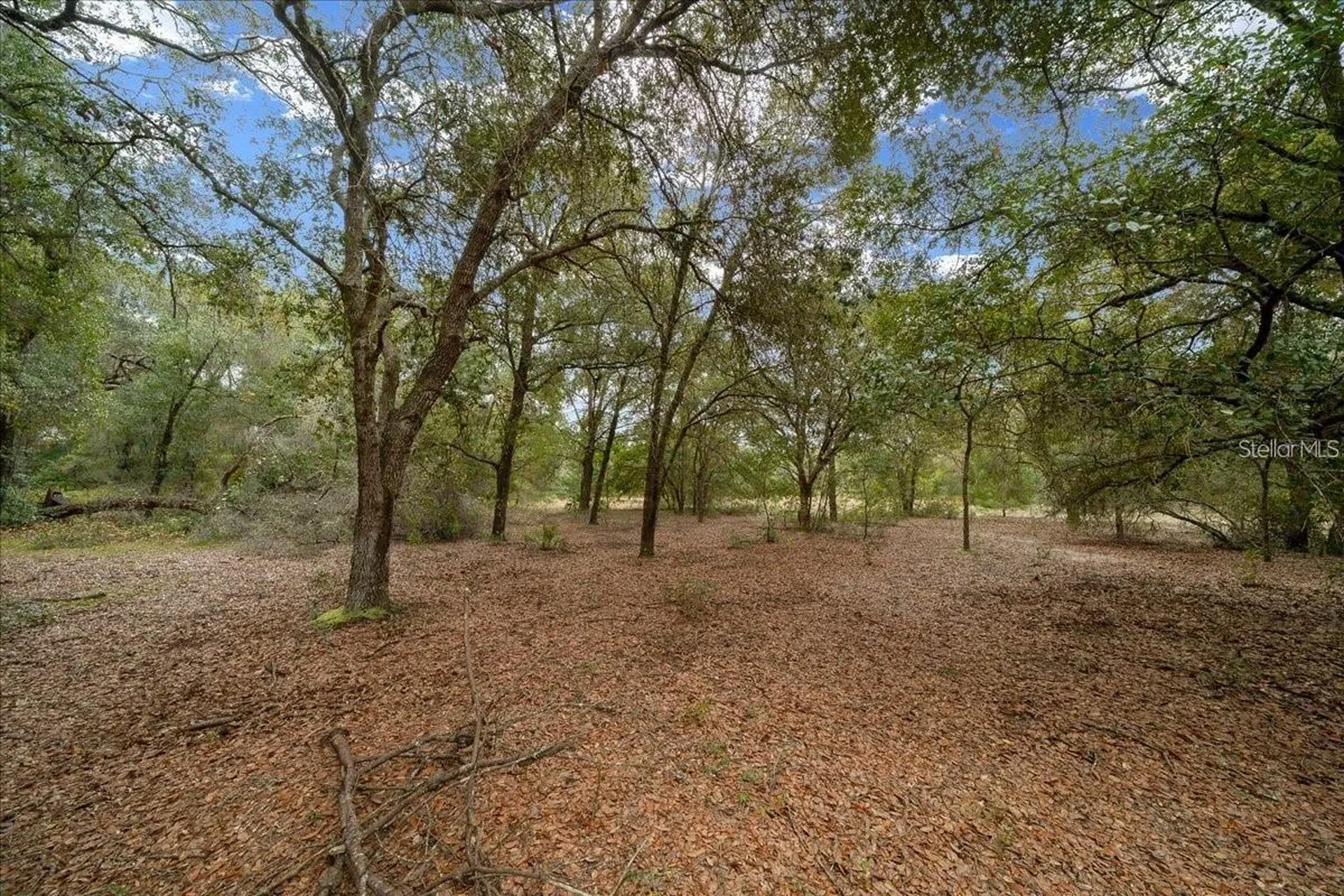 7173 W R Thomas Road Keystone Heights FL 32656