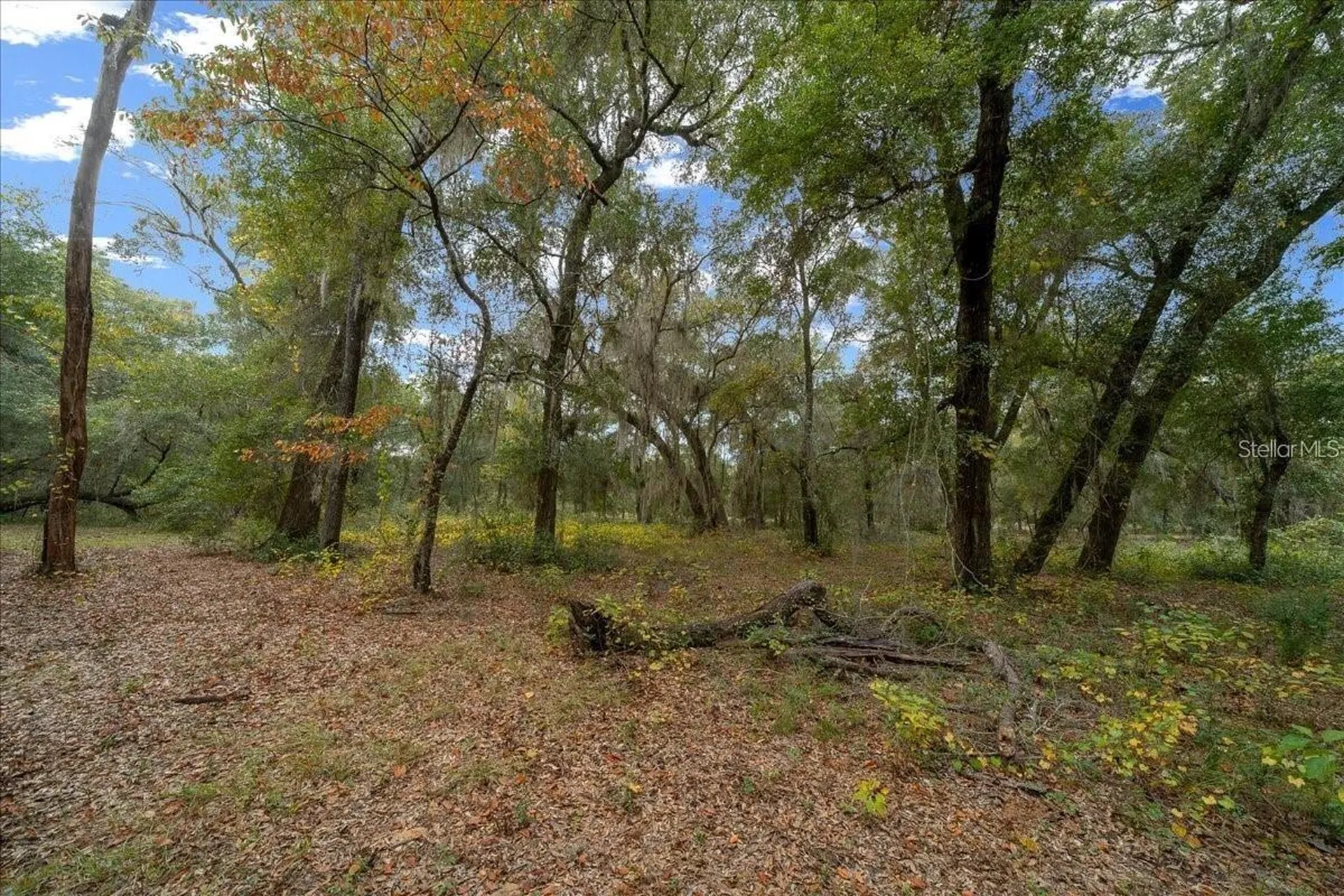 7173 W R Thomas Road Keystone Heights FL 32656