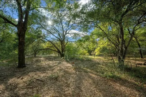 7173 W R Thomas Road Keystone Heights FL 32656