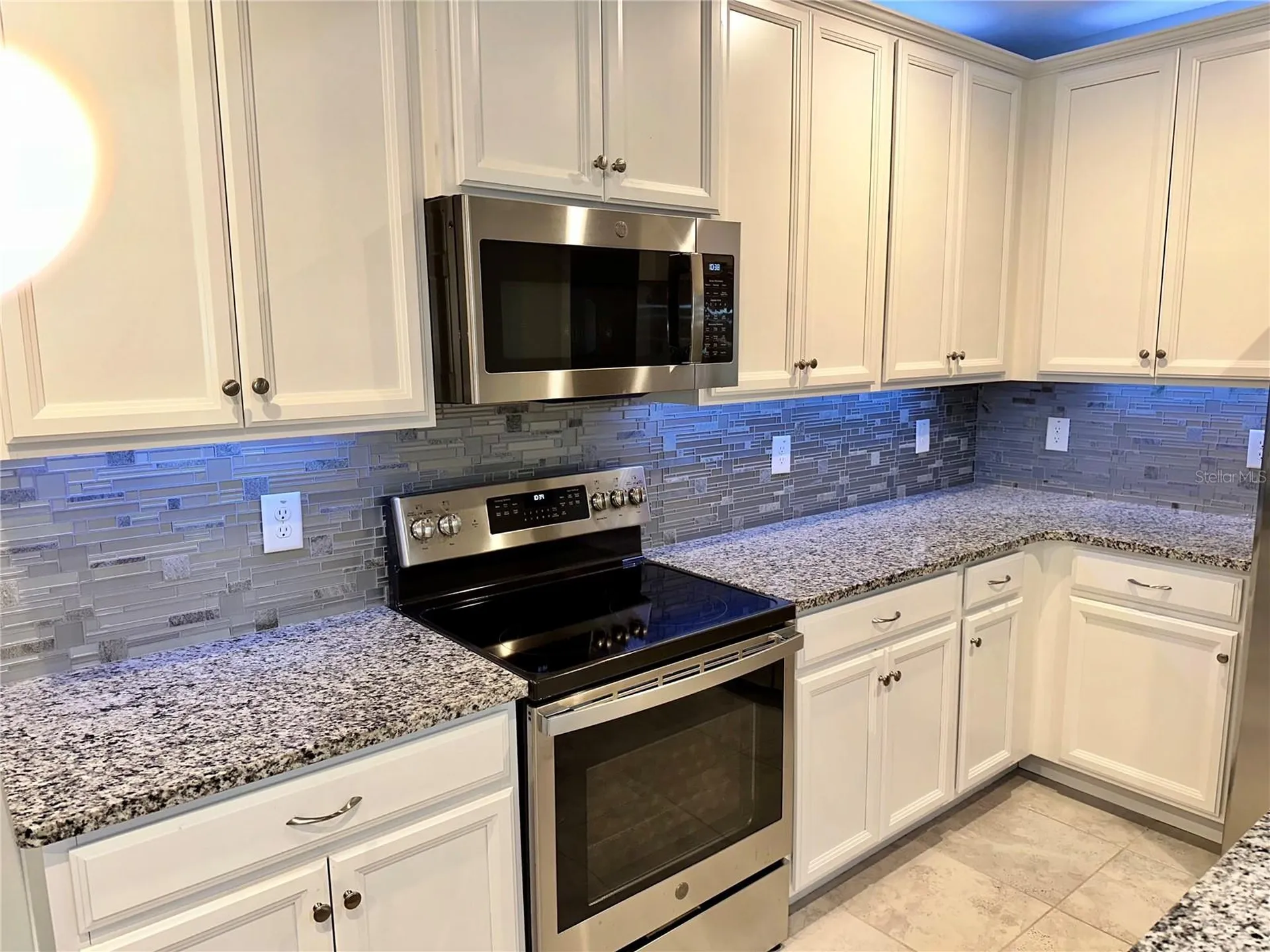 17663 Turning Leaf Circle Land O Lakes FL 34638