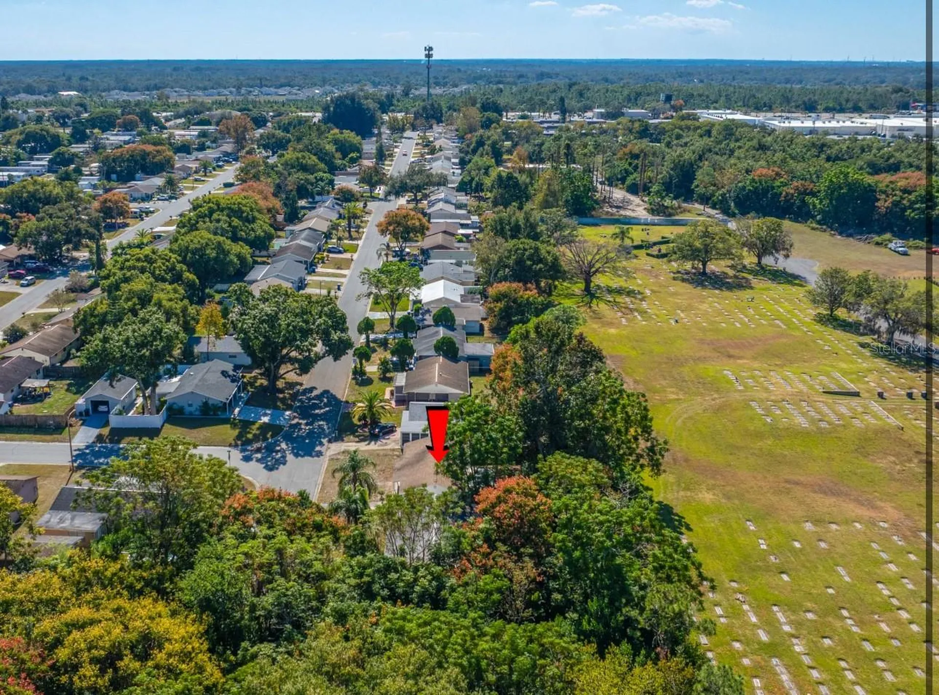 4335 Las Vegas Drive New Port Richey FL 34653