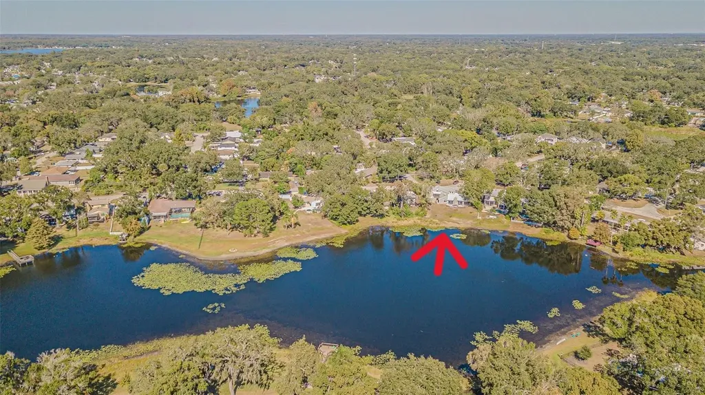 12510 Forest Hills Drive Tampa FL 33612