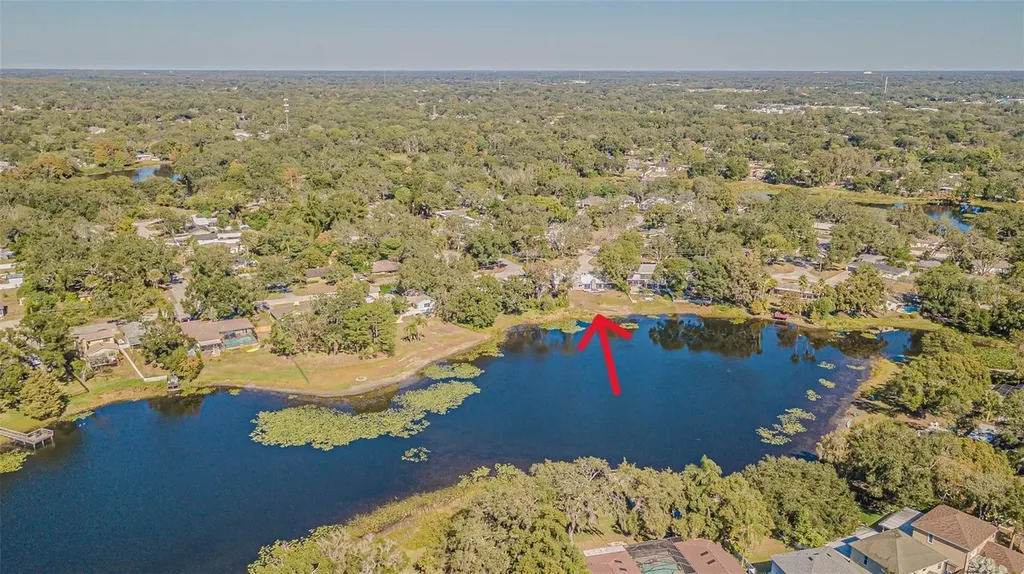 12510 Forest Hills Drive Tampa FL 33612