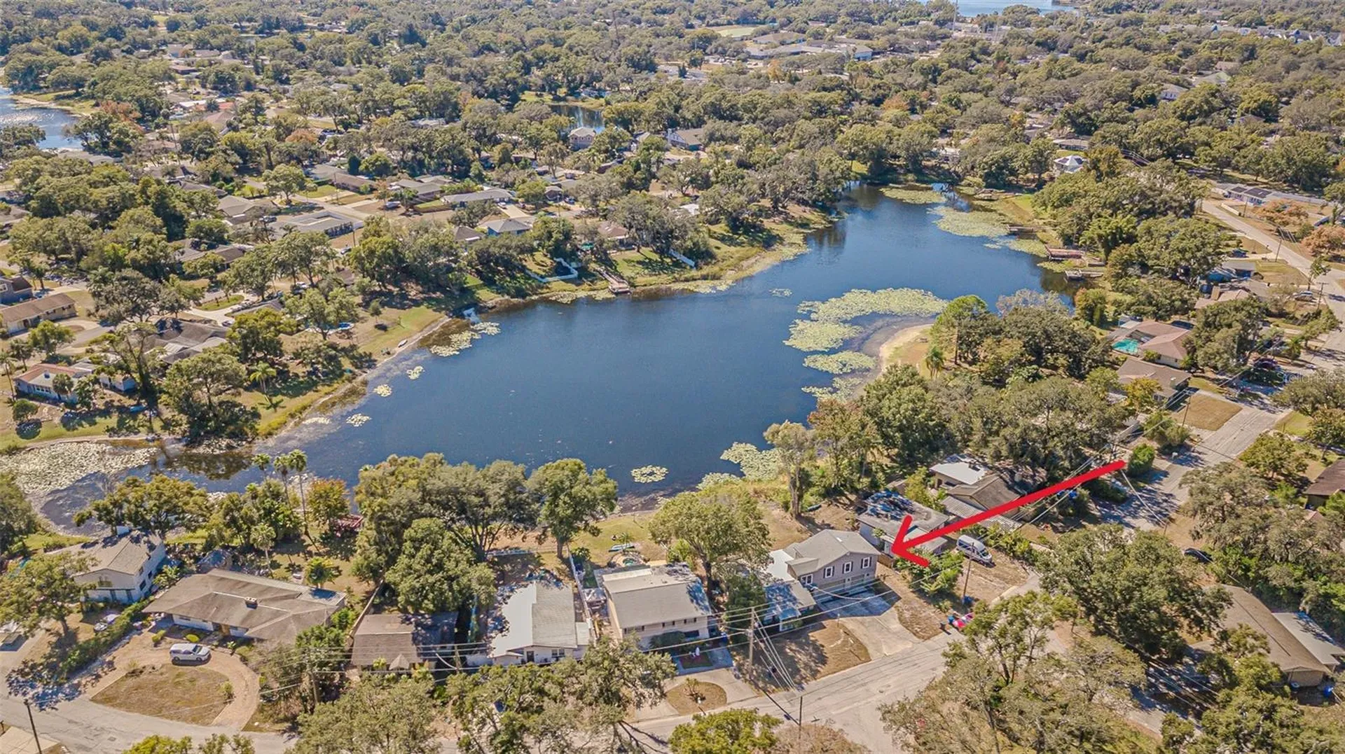 12510 Forest Hills Drive Tampa FL 33612