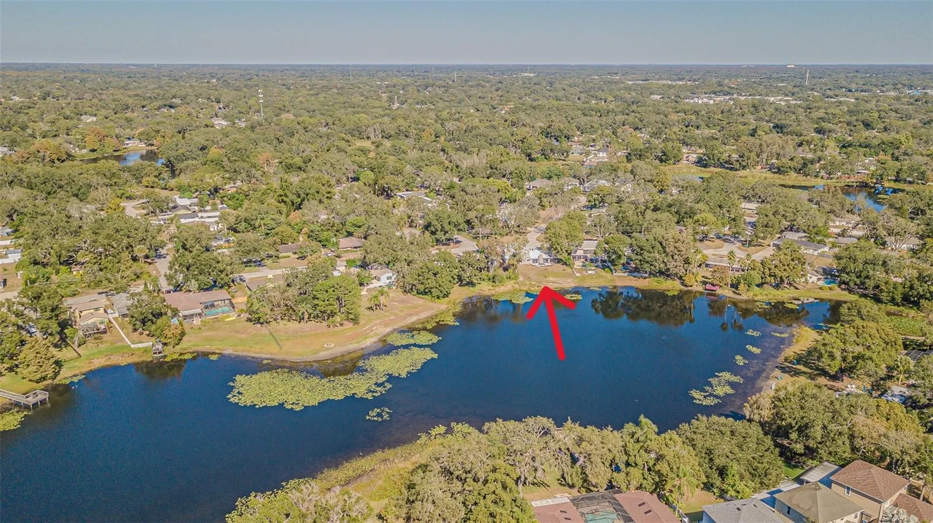 12510 Forest Hills Drive Tampa FL 33612