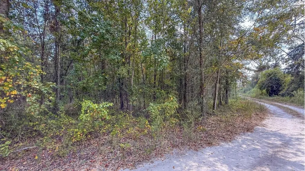 TBD-1 SE Us-41 Highway White Springs FL 32096