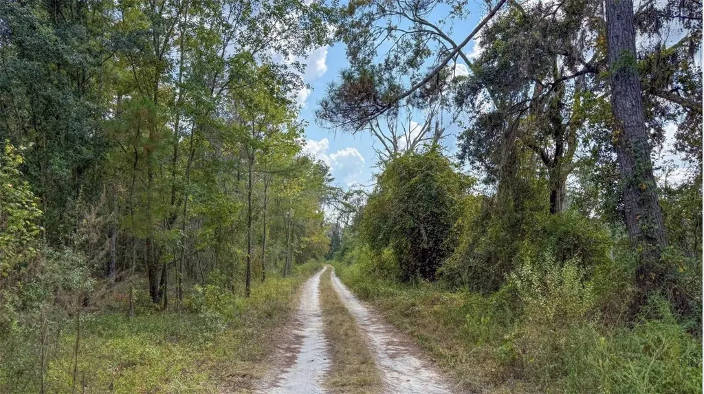 TBD-1 SE Us-41 Highway White Springs FL 32096
