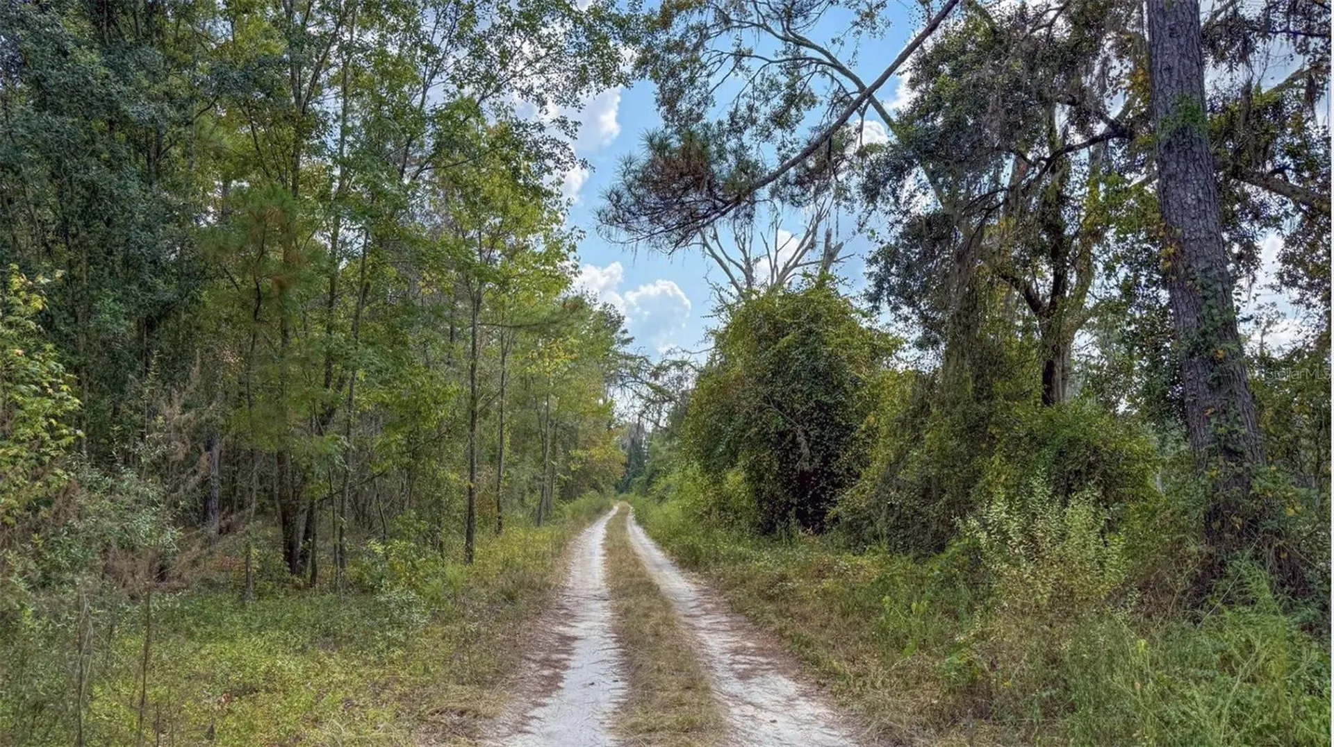 TBD-1 SE Us-41 Highway White Springs FL 32096