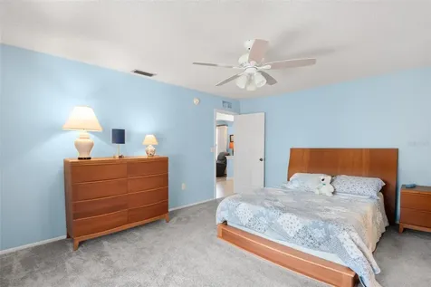 110 Meadowcross Drive Safety Harbor FL 34695