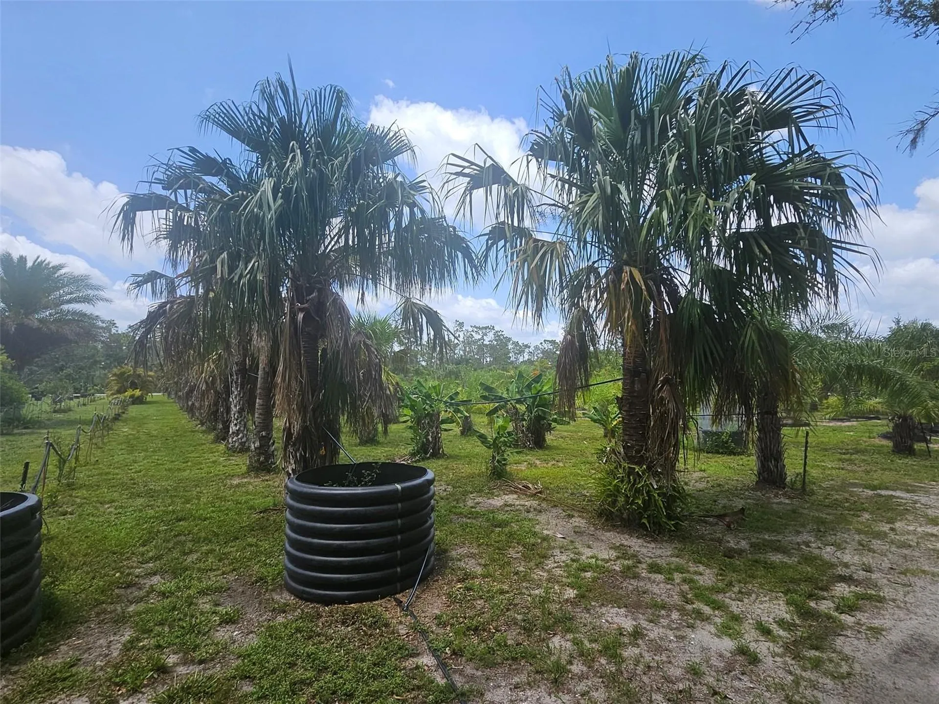 21910 Taylor Drive Bradenton FL 34211