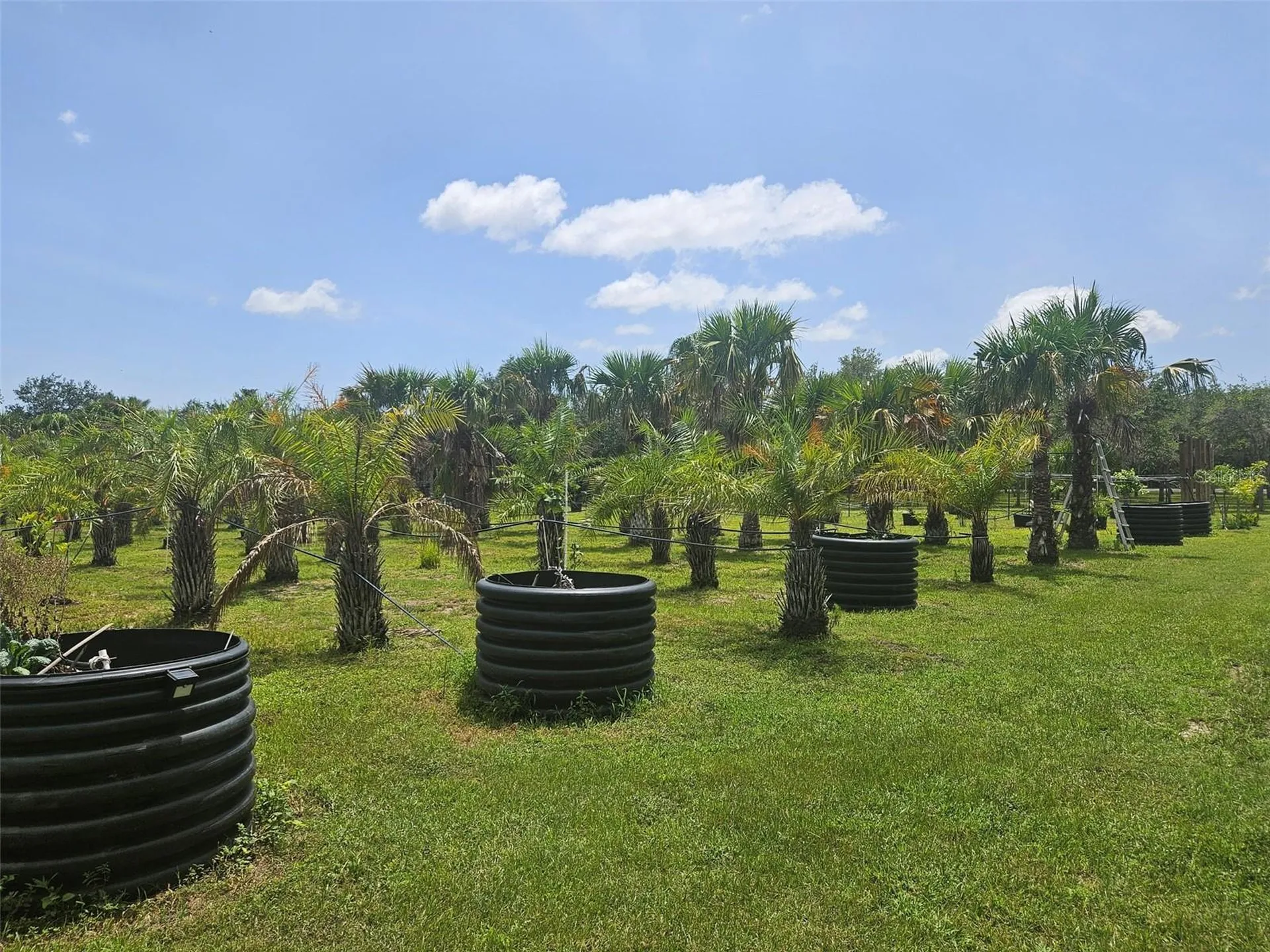 21910 Taylor Drive Bradenton FL 34211