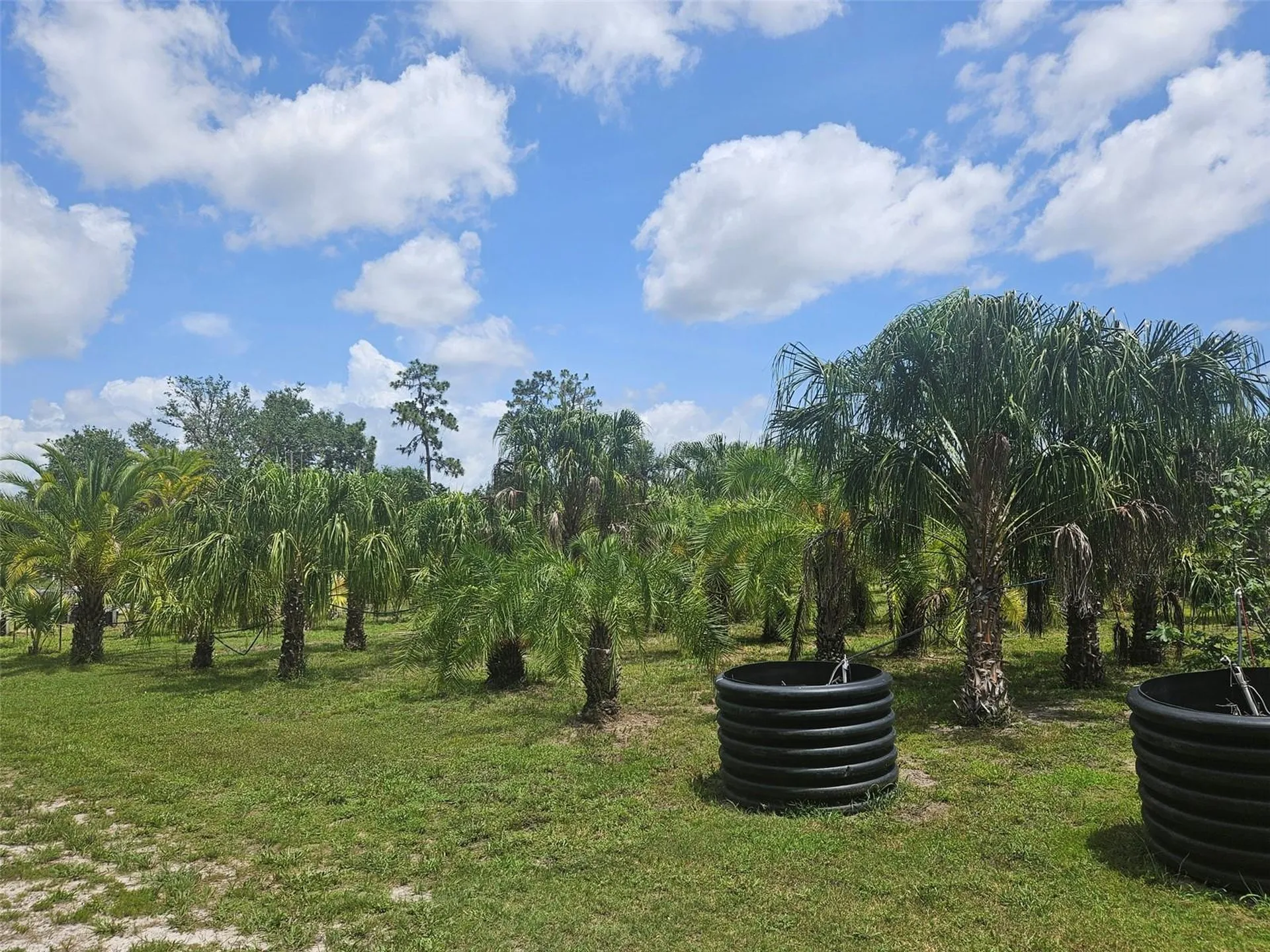 21910 Taylor Drive Bradenton FL 34211