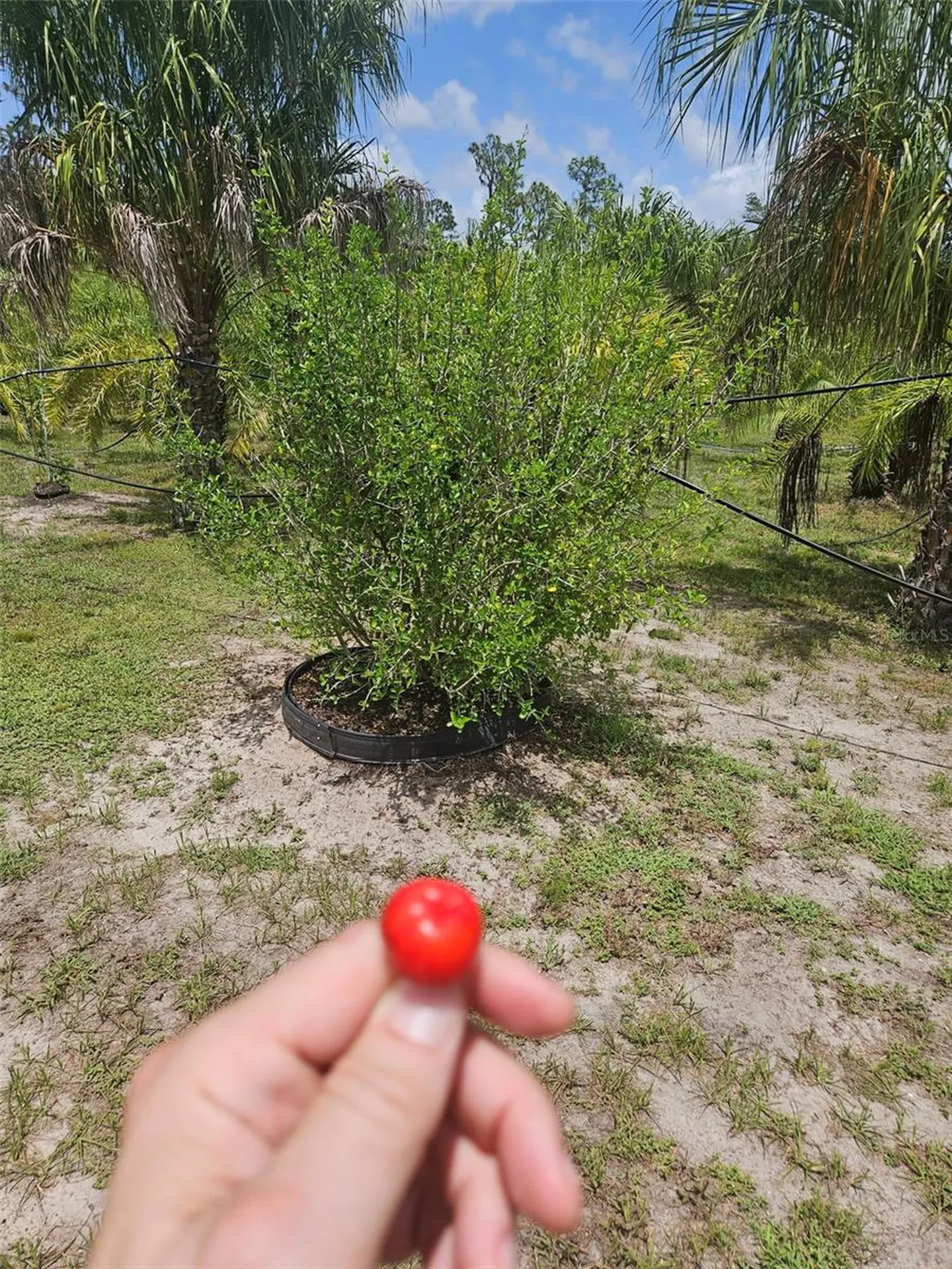 21910 Taylor Drive Bradenton FL 34211