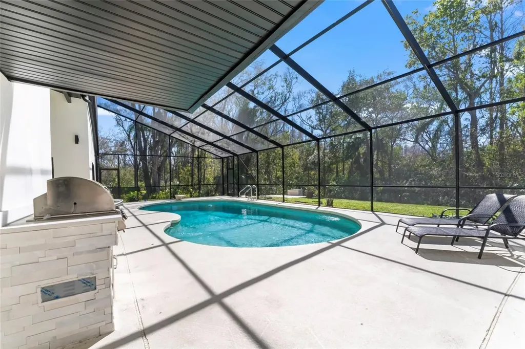 4520 Pine Hollow Drive Tampa FL 33624
