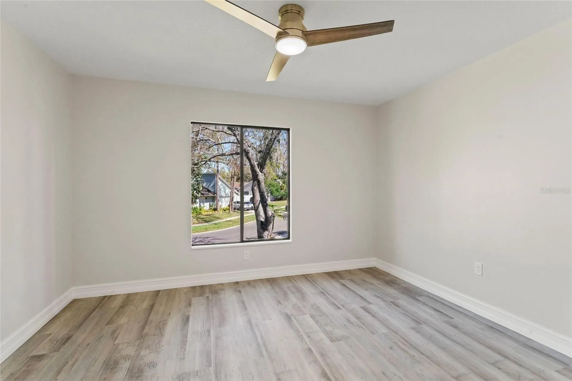 4520 Pine Hollow Drive Tampa FL 33624