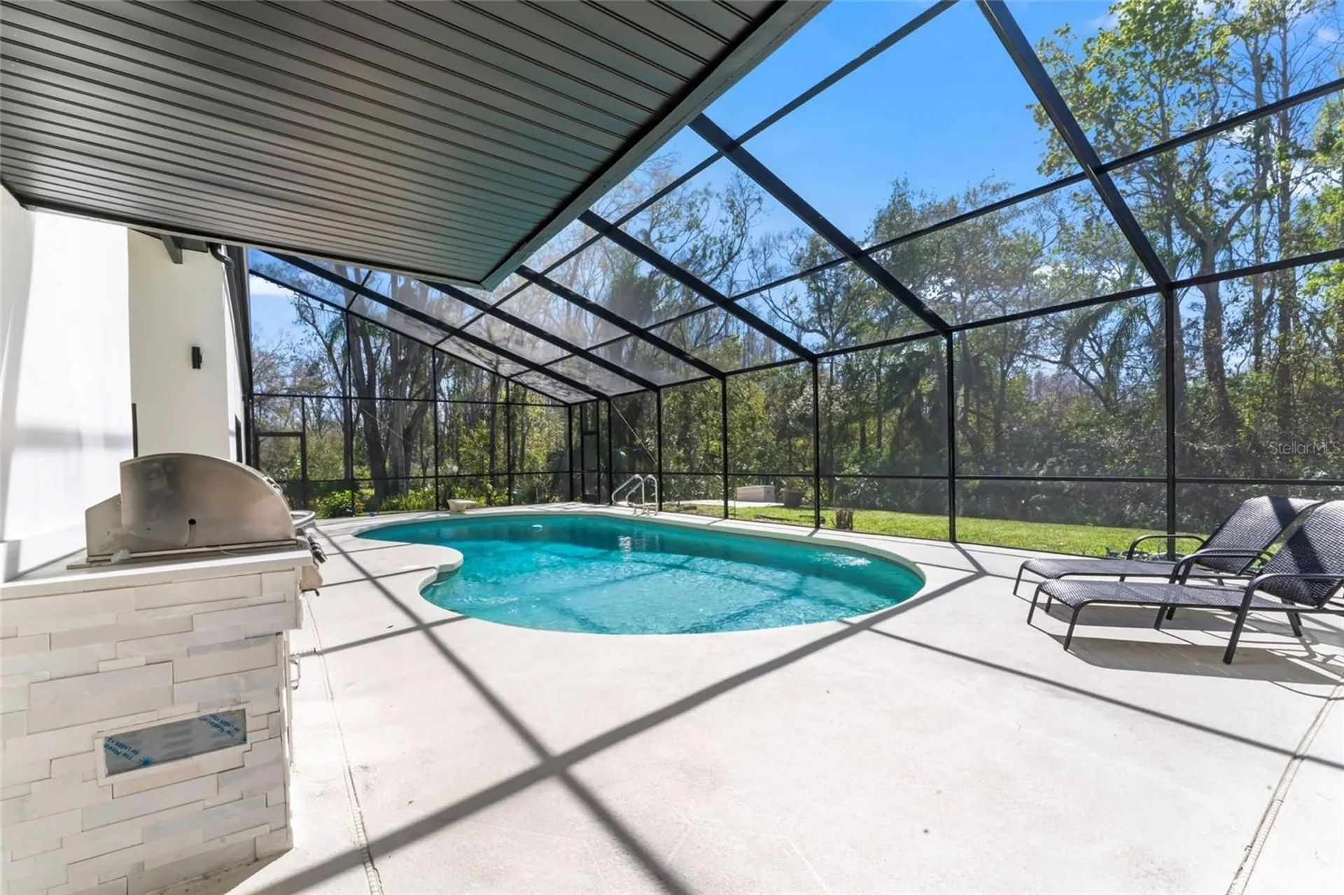 4520 Pine Hollow Drive Tampa FL 33624
