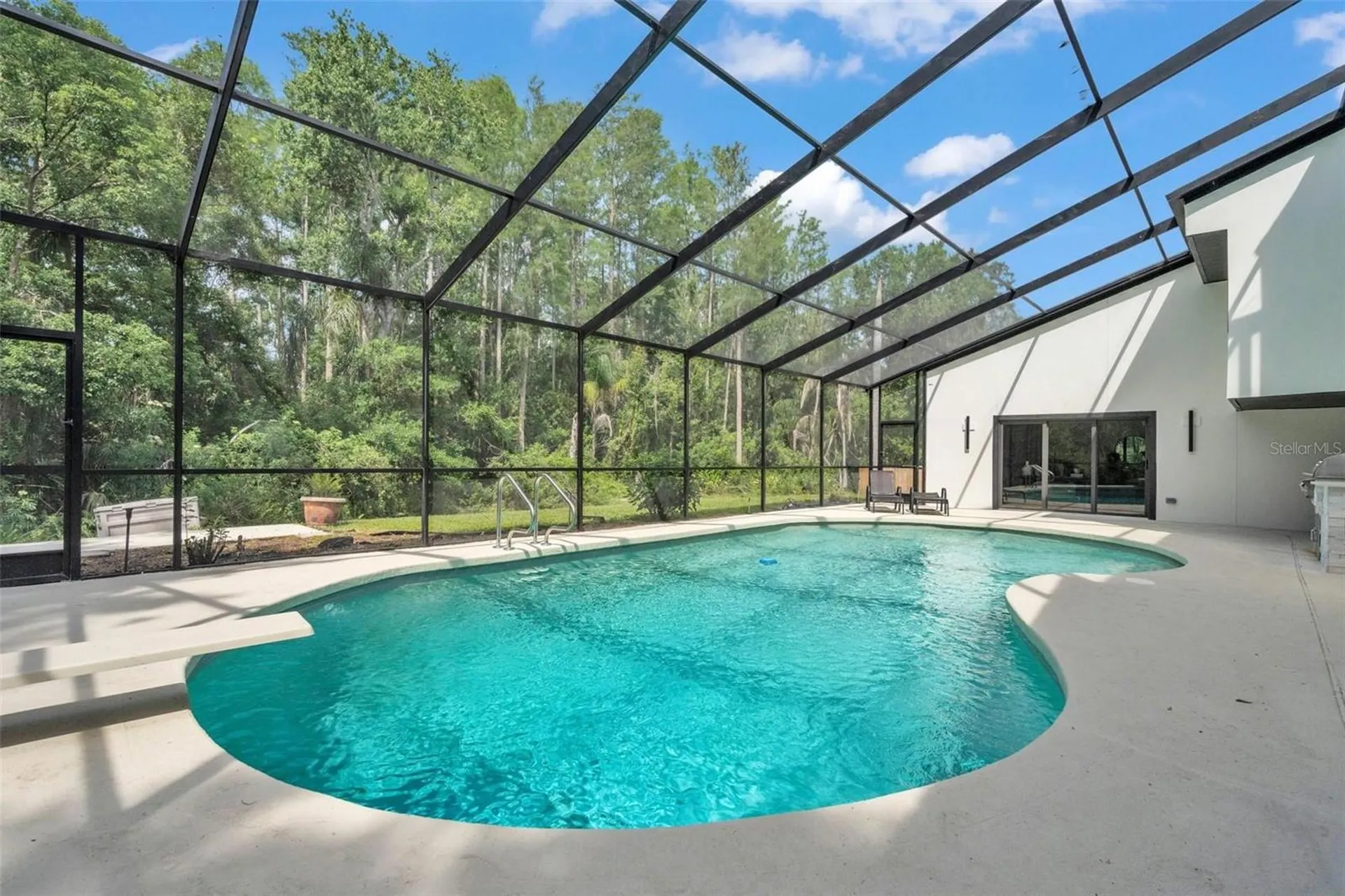 4520 Pine Hollow Drive Tampa FL 33624