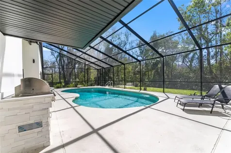 4520 Pine Hollow Drive Tampa FL 33624