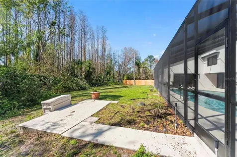 4520 Pine Hollow Drive Tampa FL 33624