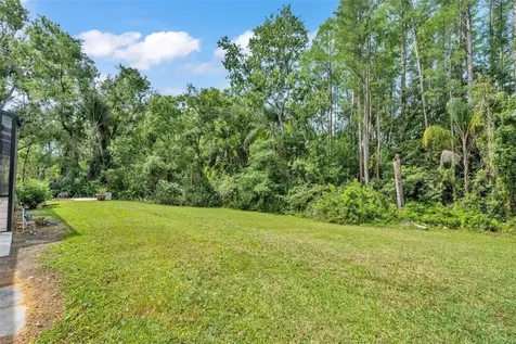 4520 Pine Hollow Drive Tampa FL 33624
