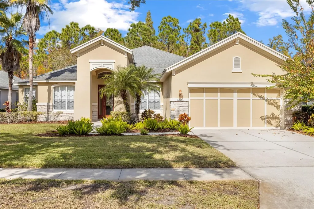 12013 Meridian Point Drive Tampa FL 33626