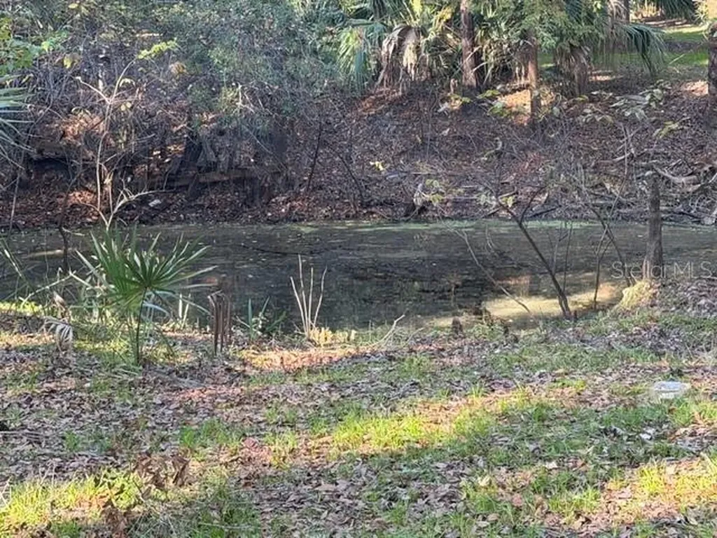 6455 E Sioux Canal Drive Hernando FL 34442