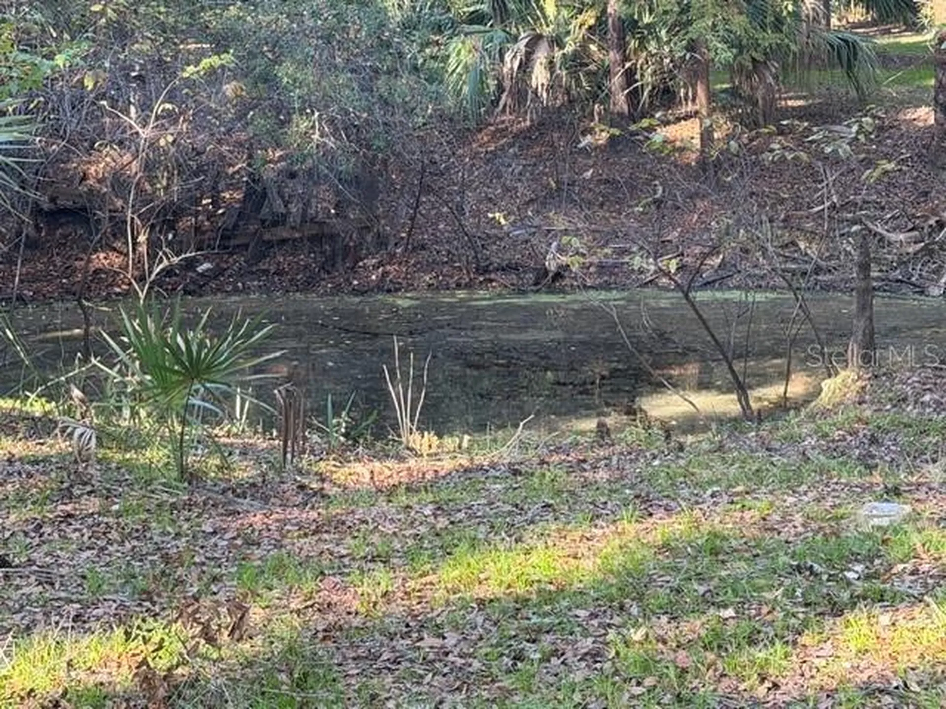 6455 E Sioux Canal Drive Hernando FL 34442