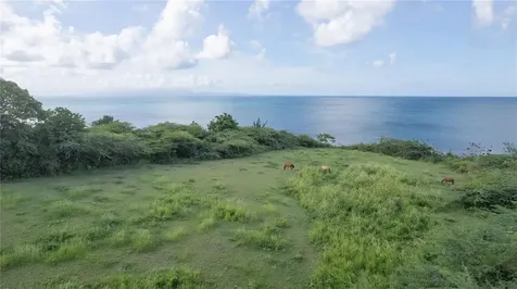 2 Calle Cañon Vieques PR 00765