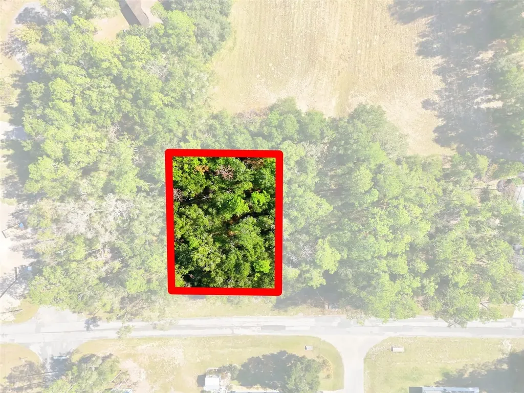 10441 N Biscayne Drive Citrus Springs FL 34434