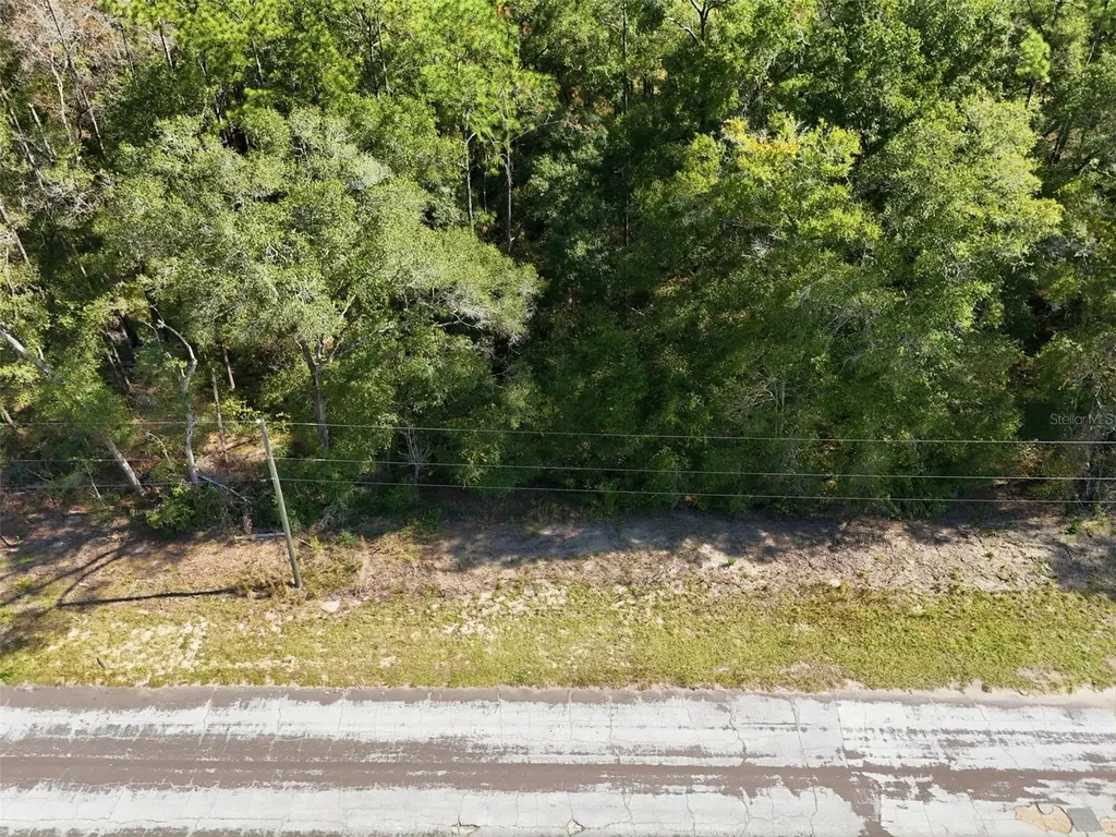 10441 N Biscayne Drive Citrus Springs FL 34434