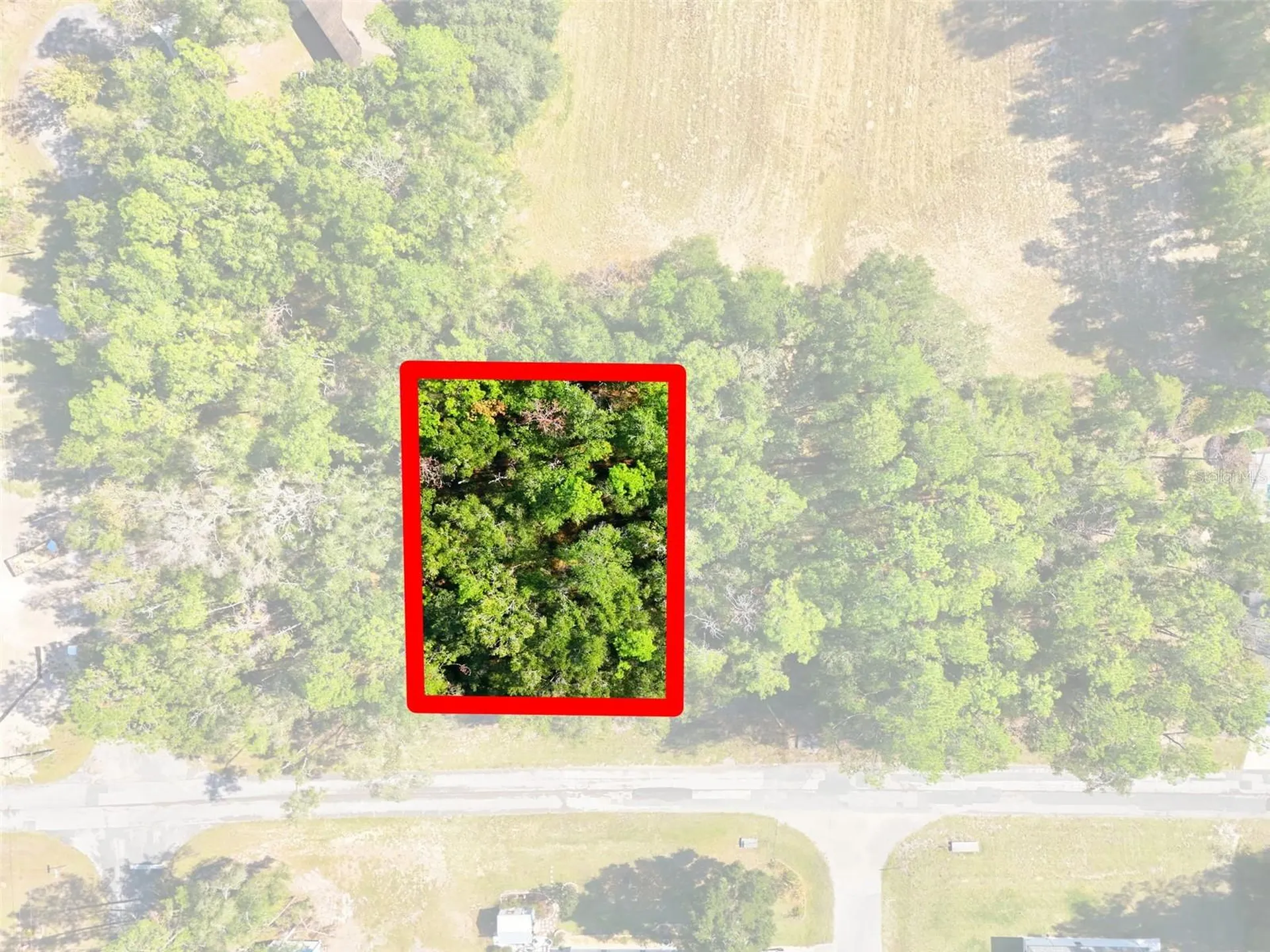 10441 N Biscayne Drive Citrus Springs FL 34434