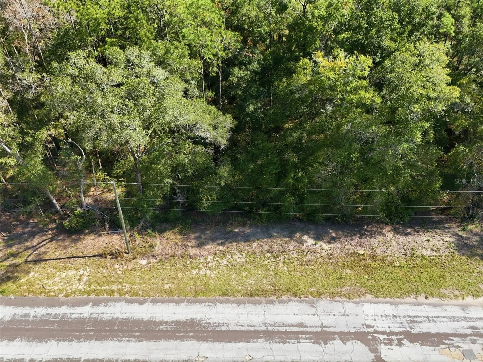 10441 N Biscayne Drive Citrus Springs FL 34434