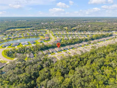 3034 Adrian Drive Ormond Beach FL 32174