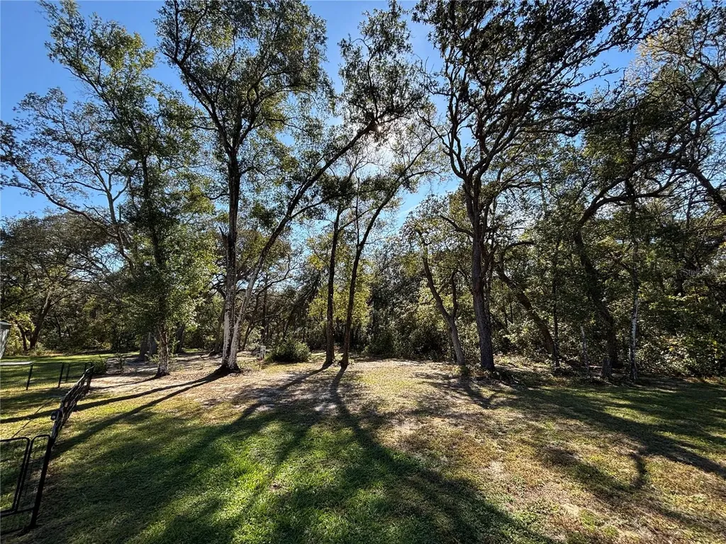 5870 SE 171st Court Ocklawaha FL 32179