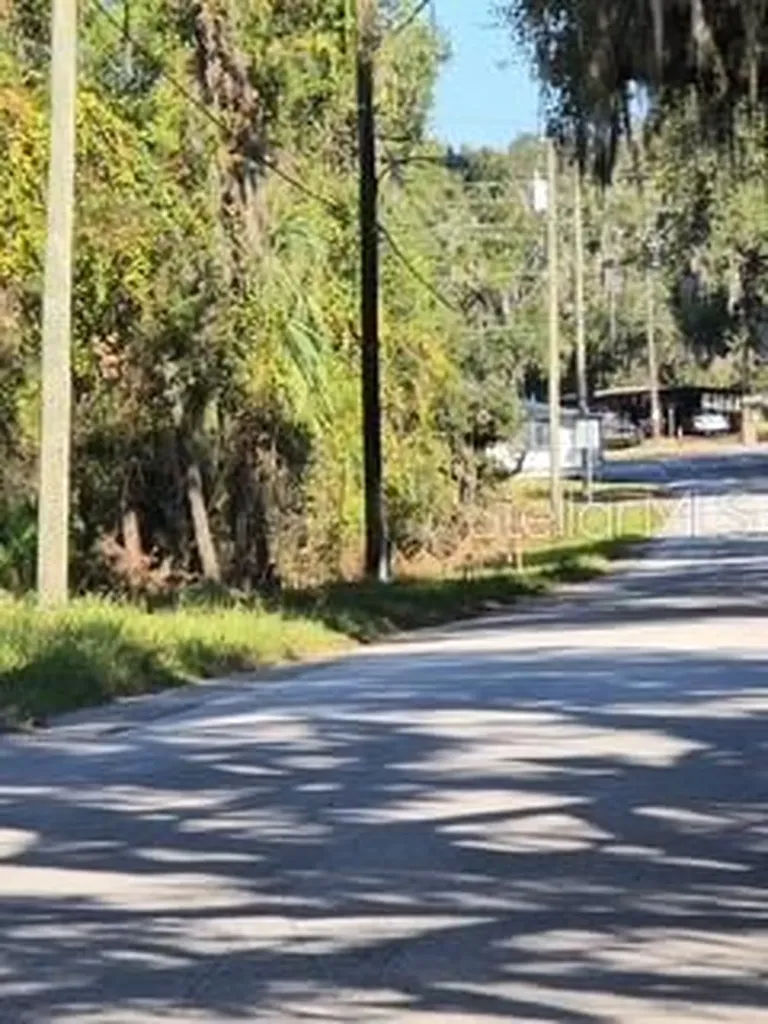 Yalaha Road Yalaha FL 34797