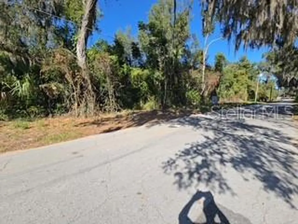 Yalaha Road Yalaha FL 34797