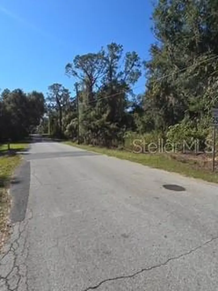 Yalaha Road Yalaha FL 34797