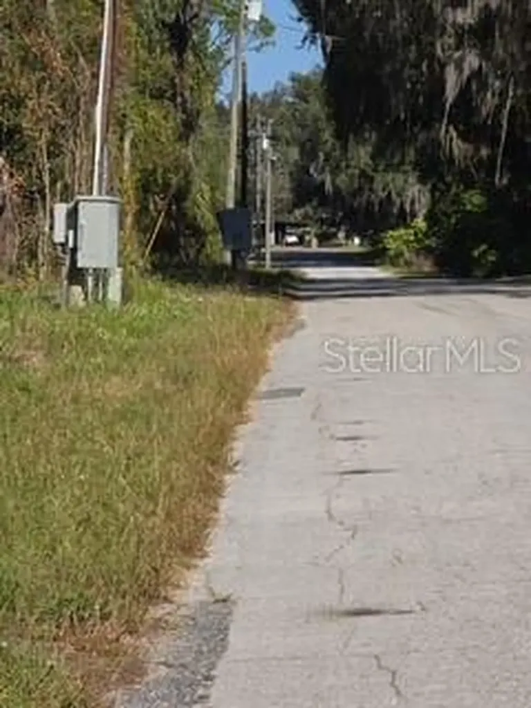 Yalaha Road Yalaha FL 34797