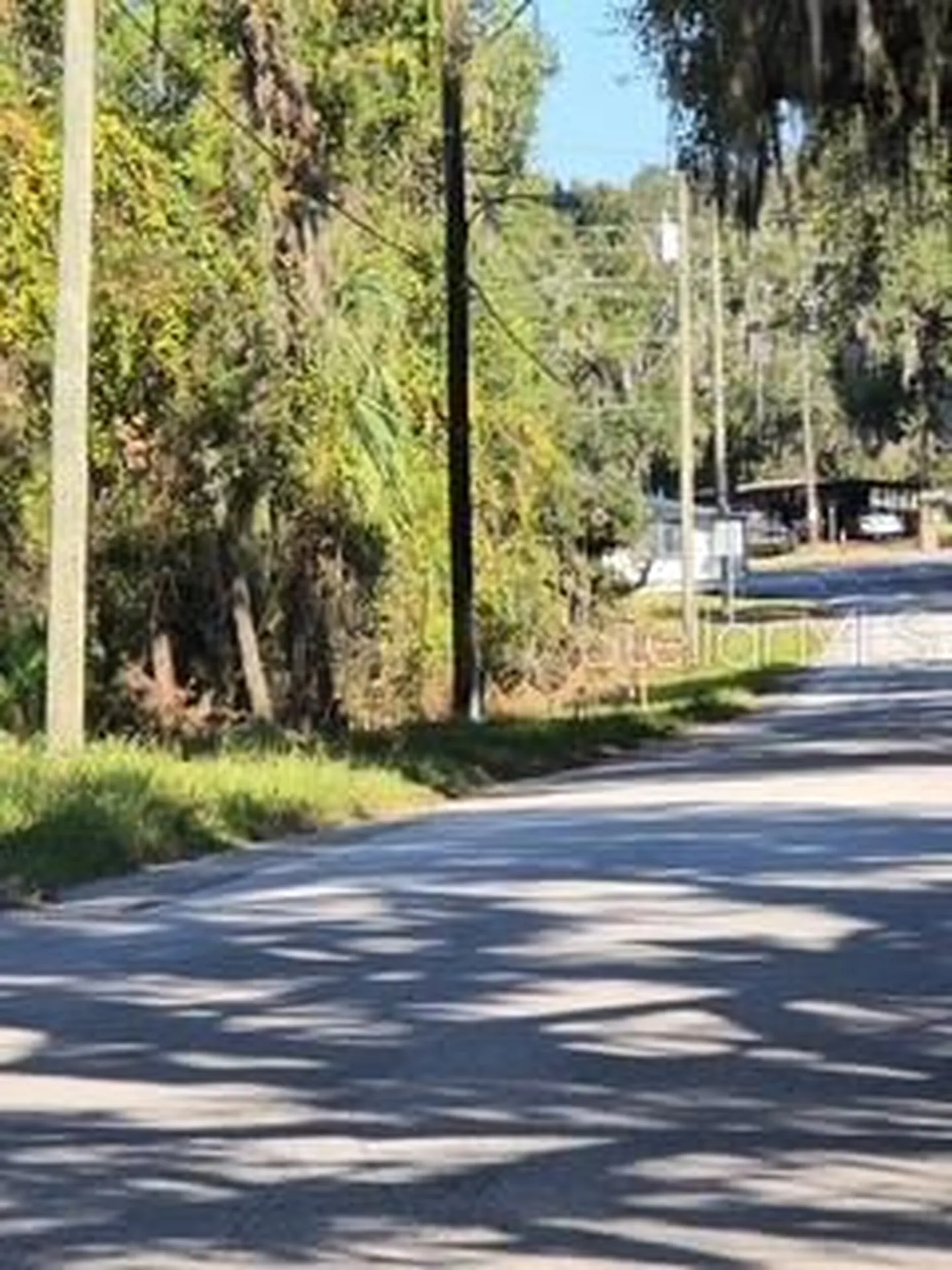 Yalaha Road Yalaha FL 34797