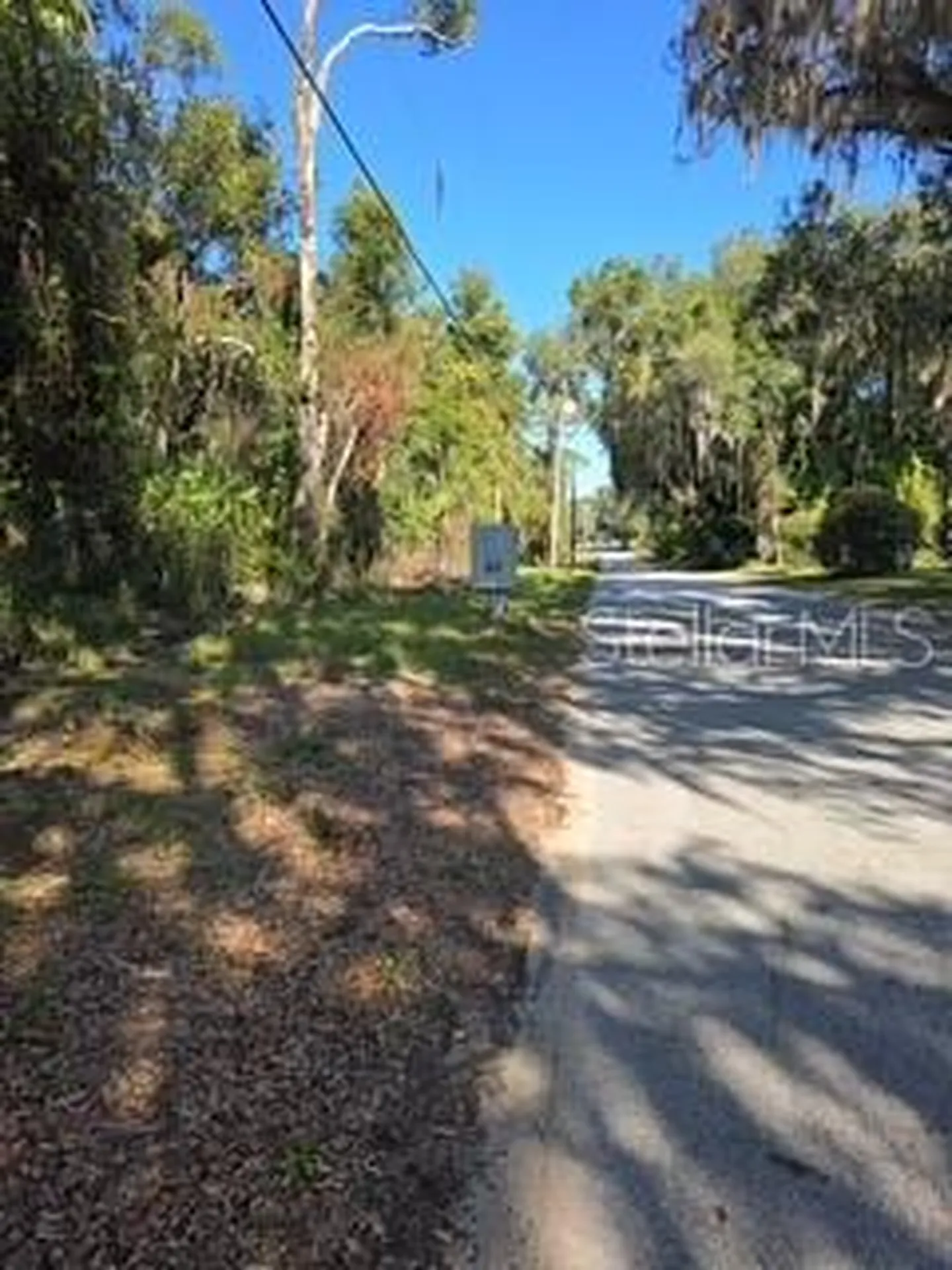 Yalaha Road Yalaha FL 34797