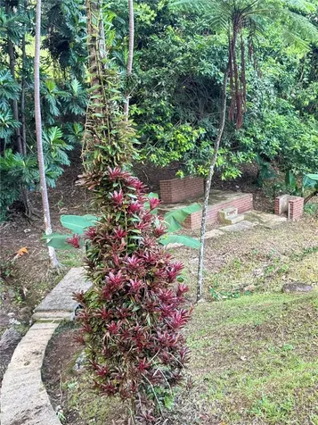 17 G23 Colinas Del Yunque Rio Grande PR 00745