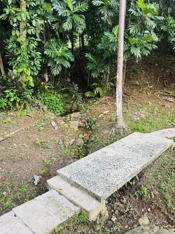 17 G23 Colinas Del Yunque Rio Grande PR 00745