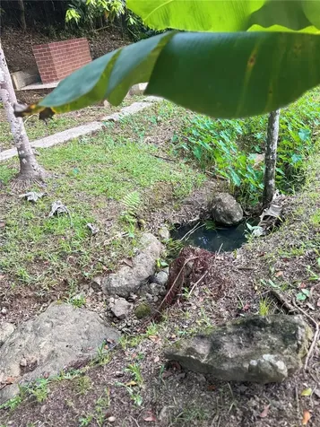 17 G23 Colinas Del Yunque Rio Grande PR 00745