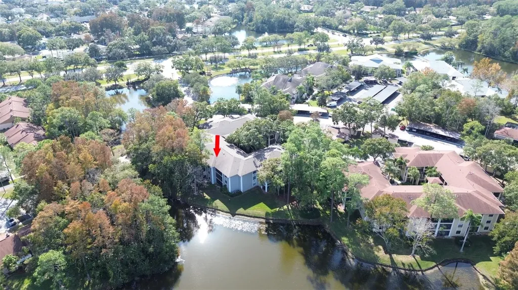 3399 Mermoor Drive Palm Harbor FL 34685