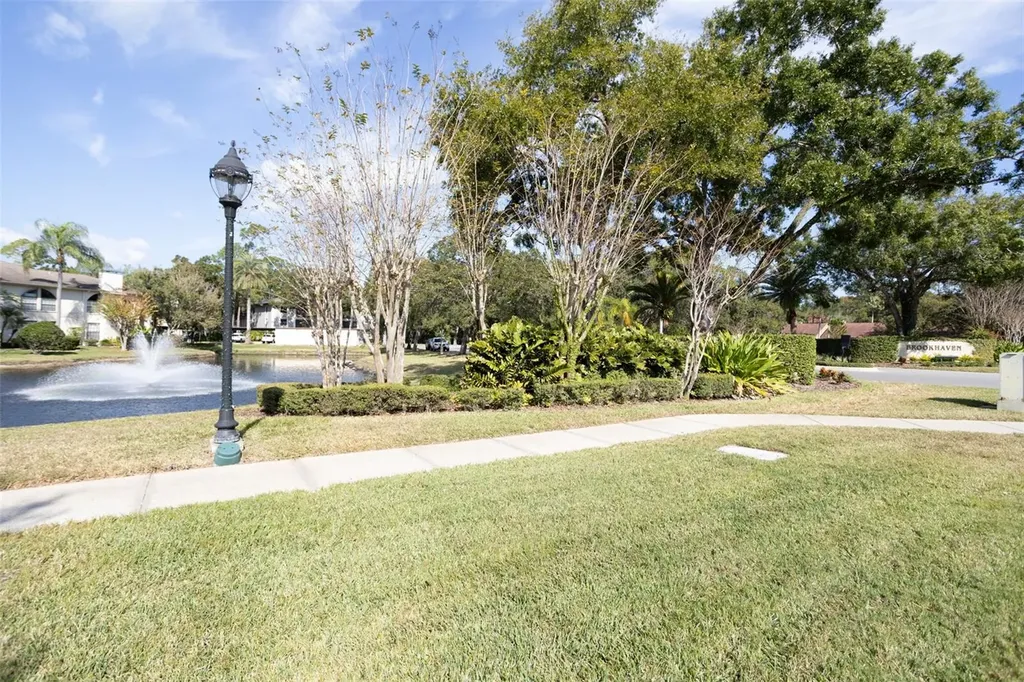 3399 Mermoor Drive Palm Harbor FL 34685