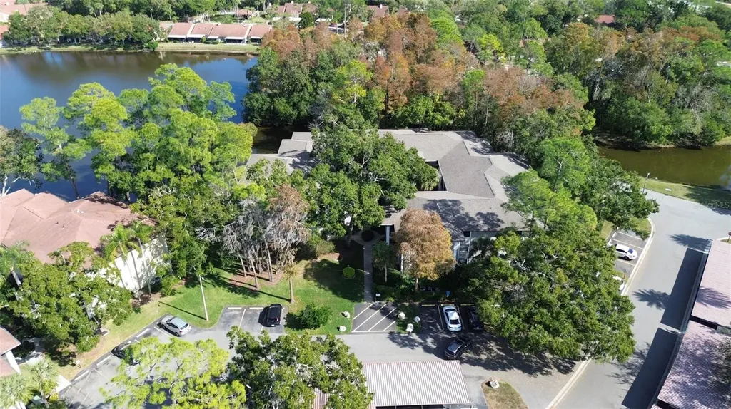 3399 Mermoor Drive Palm Harbor FL 34685
