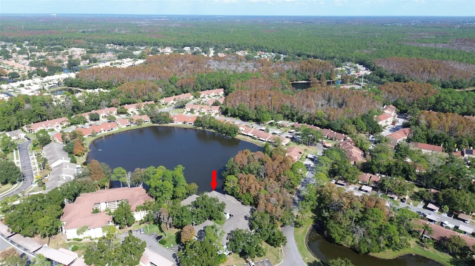 3399 Mermoor Drive Palm Harbor FL 34685